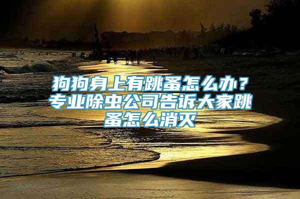 狗狗身上有跳蚤怎么辦？專業(yè)除蟲公司告訴大家跳蚤怎么消滅