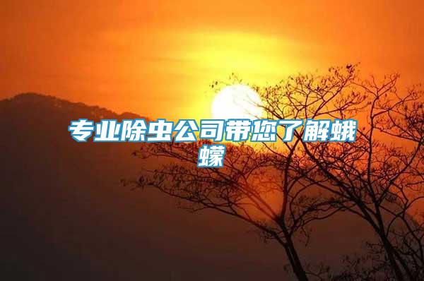 專業(yè)除蟲公司帶您了解蛾蠓