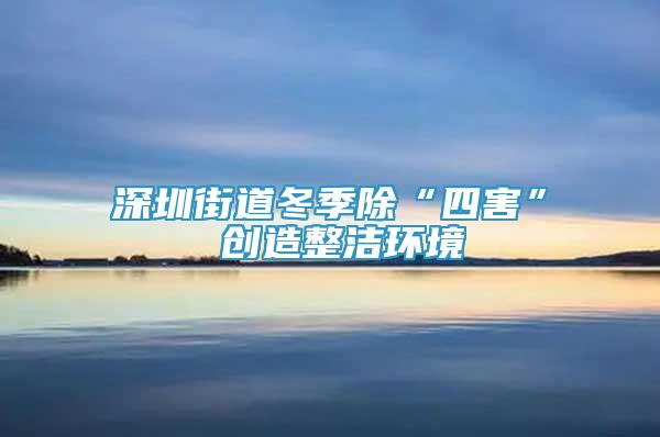 深圳街道冬季除“四害” 創(chuàng)造整潔環(huán)境