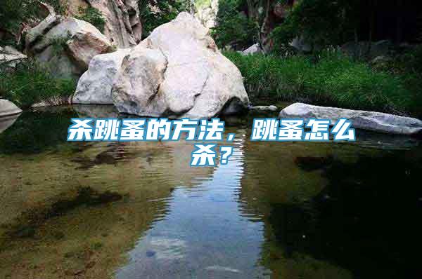殺跳蚤的方法，跳蚤怎么殺？