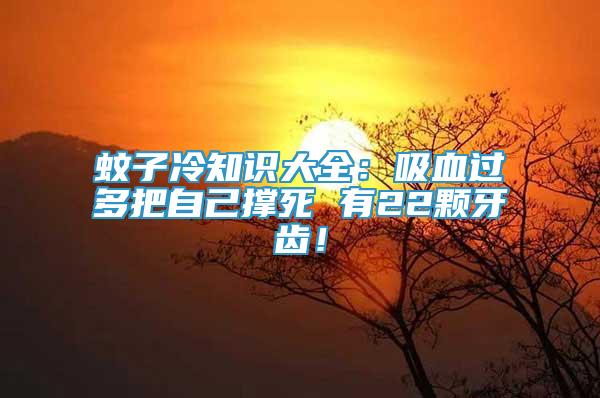 蚊子冷知識大全：吸血過多把自己撐死 有22顆牙齒！