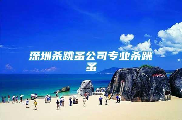 深圳殺跳蚤公司專業(yè)殺跳蚤