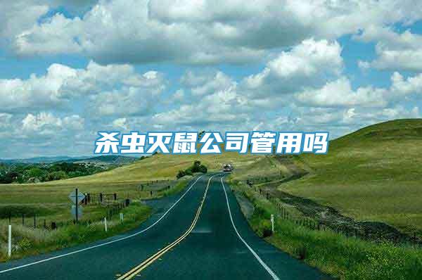 殺蟲滅鼠公司管用嗎
