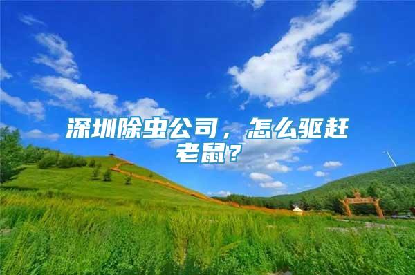 深圳除蟲公司，怎么驅(qū)趕老鼠？