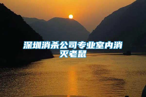 深圳消殺公司專業(yè)室內(nèi)消滅老鼠
