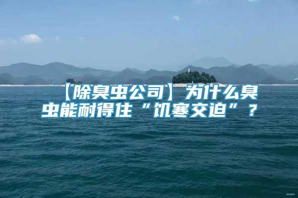 【除臭蟲公司】為什么臭蟲能耐得住“饑寒交迫”？