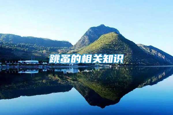 跳蚤的相關(guān)知識(shí)