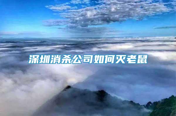 深圳消殺公司如何滅老鼠