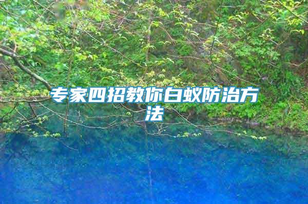 專(zhuān)家四招教你白蟻防治方法