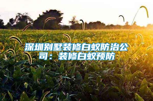 深圳別墅裝修白蟻防治公司：裝修白蟻預(yù)防