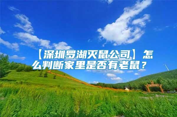 【深圳羅湖滅鼠公司】怎么判斷家里是否有老鼠？