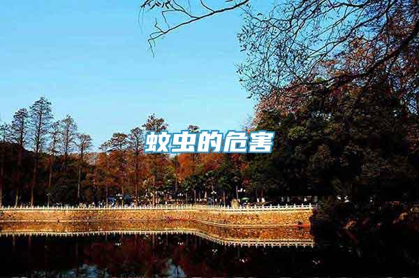 蚊蟲的危害