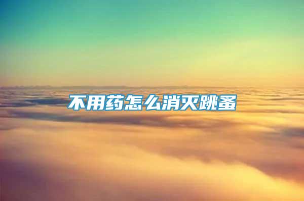 不用藥怎么消滅跳蚤