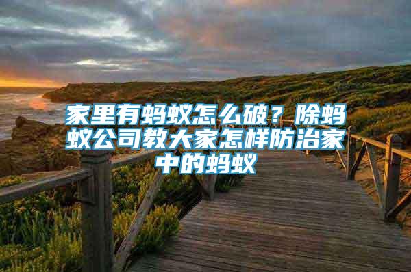 家里有螞蟻怎么破？除螞蟻公司教大家怎樣防治家中的螞蟻