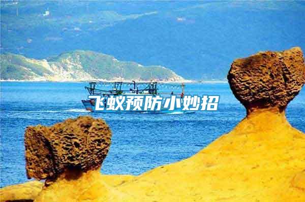 飛蟻預(yù)防小妙招