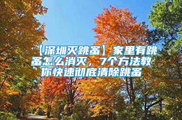 【深圳滅跳蚤】家里有跳蚤怎么消滅，7個方法教你快速徹底清除跳蚤