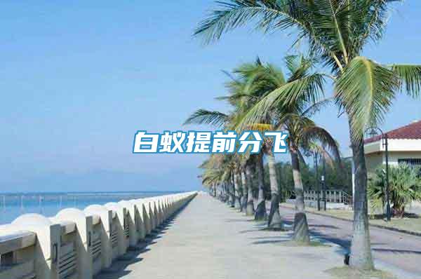 白蟻提前分飛