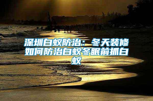 深圳白蟻防治：冬天裝修如何防治白蟻冬眠前抓白蟻