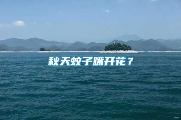 秋天蚊子嘴開花？