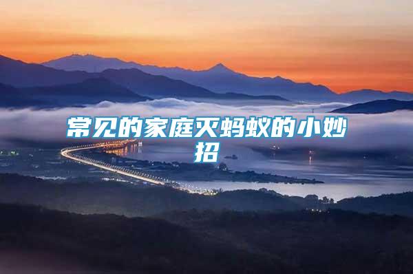 常見的家庭滅螞蟻的小妙招