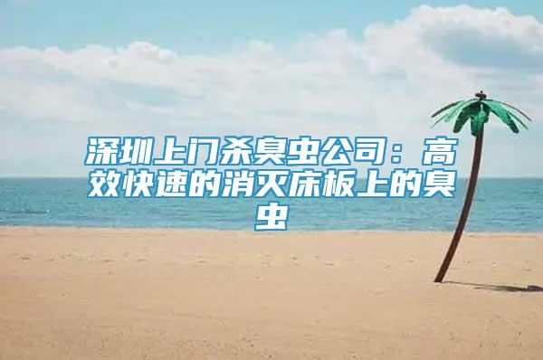 深圳上門殺臭蟲公司：高效快速的消滅床板上的臭蟲