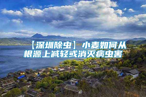 【深圳除蟲】小麥如何從根源上減輕或消滅病蟲害