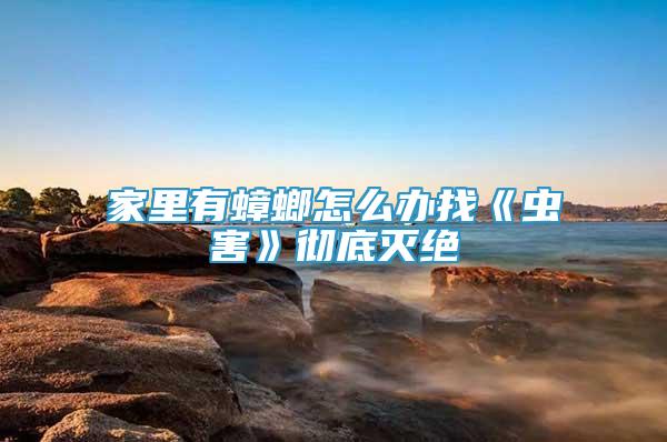 家里有蟑螂怎么辦找《蟲害》徹底滅絕