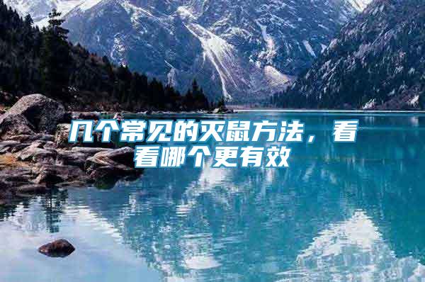 幾個(gè)常見的滅鼠方法，看看哪個(gè)更有效