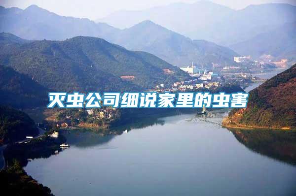滅蟲公司細說家里的蟲害