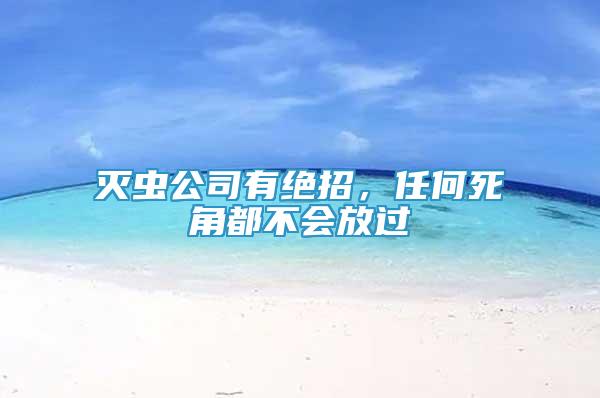 滅蟲公司有絕招，任何死角都不會放過