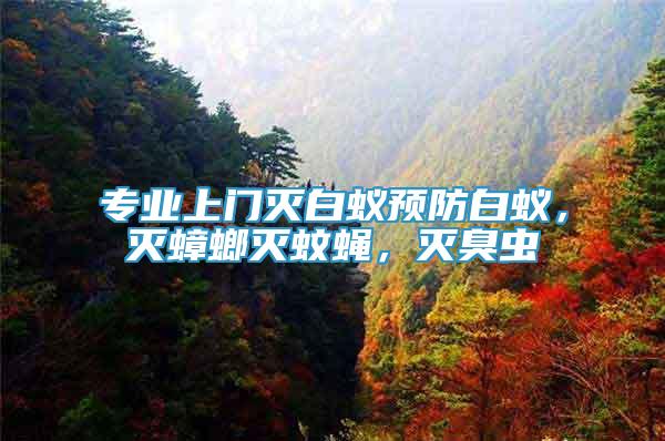 專業(yè)上門滅白蟻預(yù)防白蟻，滅蟑螂滅蚊蠅，滅臭蟲