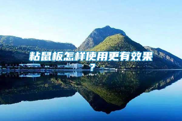 粘鼠板怎樣使用更有效果？