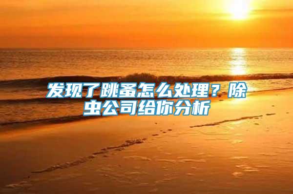 發(fā)現(xiàn)了跳蚤怎么處理？除蟲公司給你分析