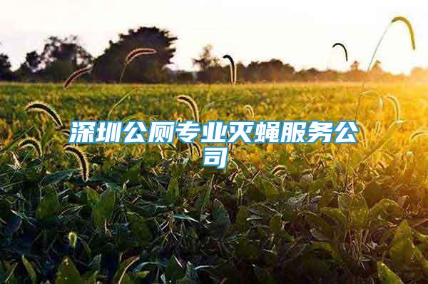 深圳公廁專業(yè)滅蠅服務(wù)公司