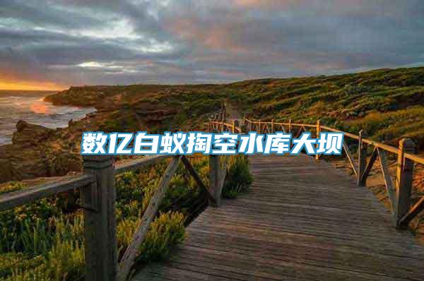 數(shù)億白蟻掏空水庫(kù)大壩