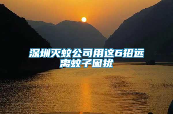 深圳滅蚊公司用這6招遠離蚊子困擾