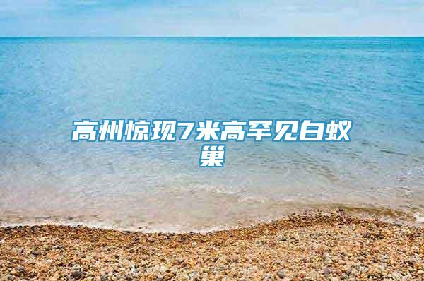 高州驚現(xiàn)7米高罕見白蟻巢