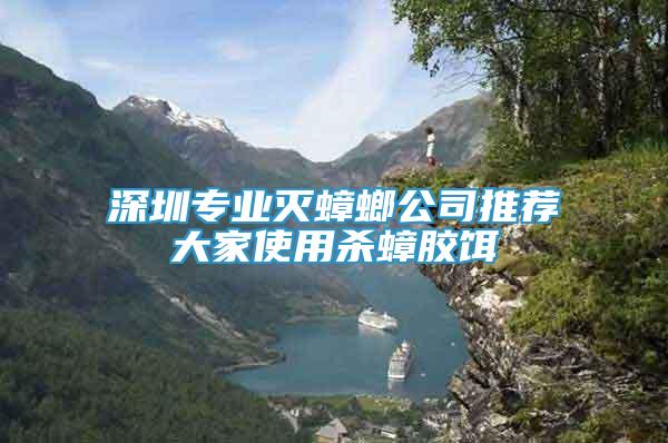 深圳專業(yè)滅蟑螂公司推薦大家使用殺蟑膠餌
