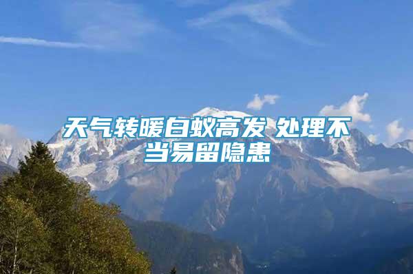 天氣轉(zhuǎn)暖白蟻高發(fā)　處理不當易留隱患
