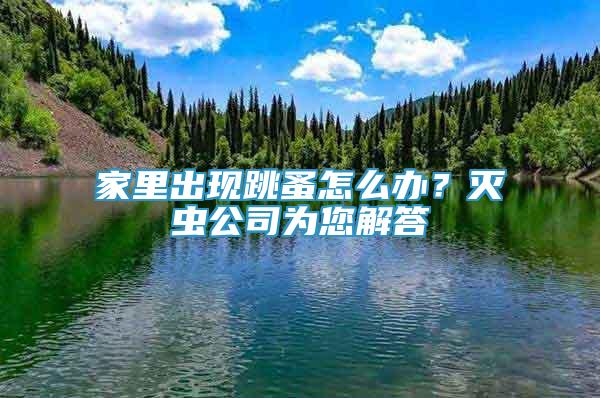 家里出現(xiàn)跳蚤怎么辦？滅蟲公司為您解答