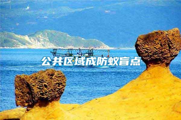 公共區(qū)域成防蟻盲點