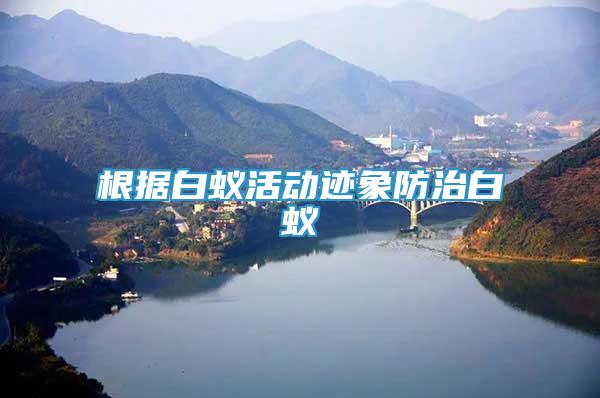 根據(jù)白蟻活動跡象防治白蟻