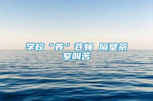 學(xué)?！梆B(yǎng)”蒼蠅 隔壁茶室叫苦