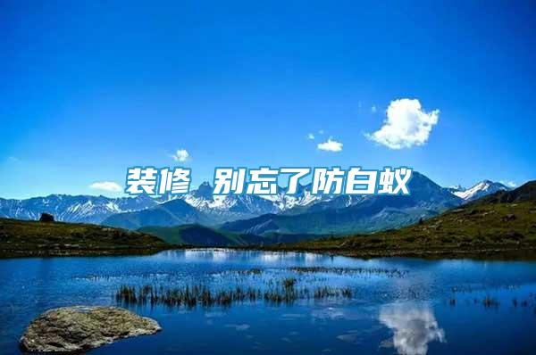 裝修 別忘了防白蟻