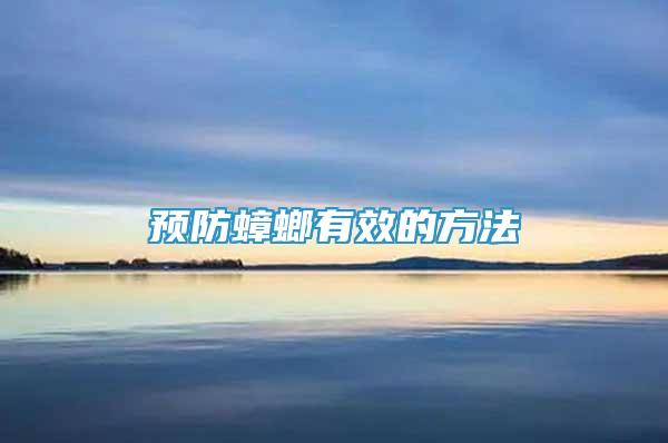 預(yù)防蟑螂有效的方法