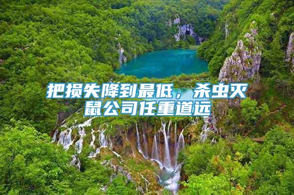 把損失降到最低，殺蟲滅鼠公司任重道遠(yuǎn)