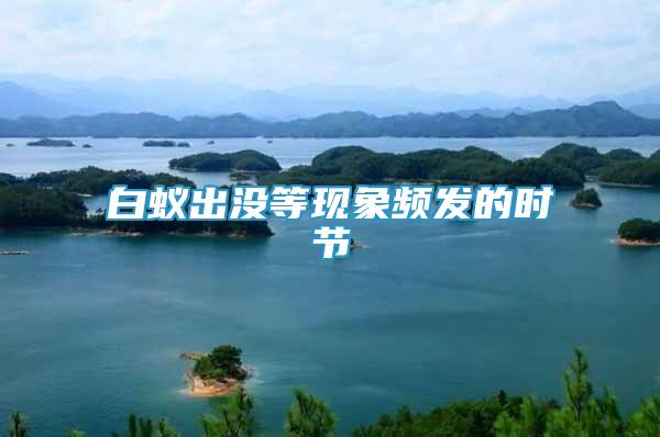 白蟻出沒等現(xiàn)象頻發(fā)的時節(jié)