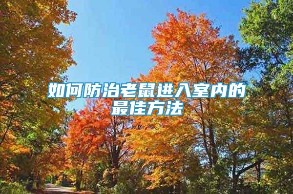 如何防治老鼠進(jìn)入室內(nèi)的最佳方法