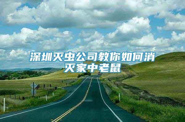 深圳滅蟲公司教你如何消滅家中老鼠