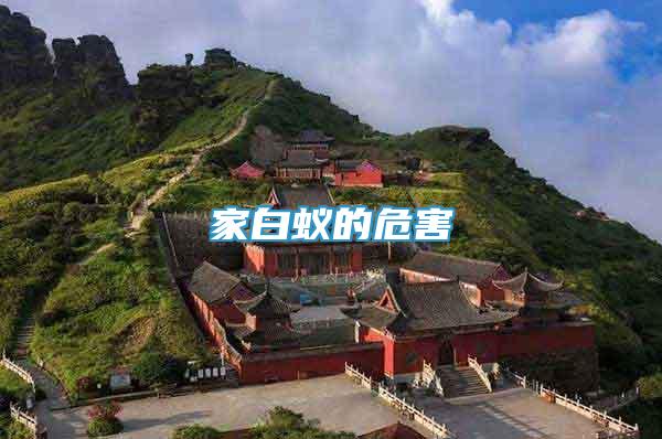 家白蟻的危害